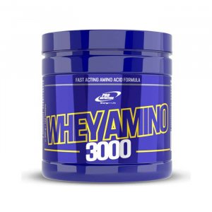 WHEY AMINO 3000
